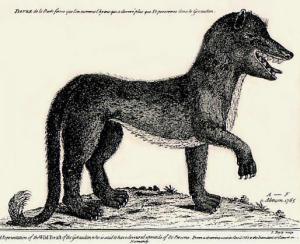 Artist's conception of one of the Beasts of Gévaudan, 18th-century engraving by A.F. of Alençon